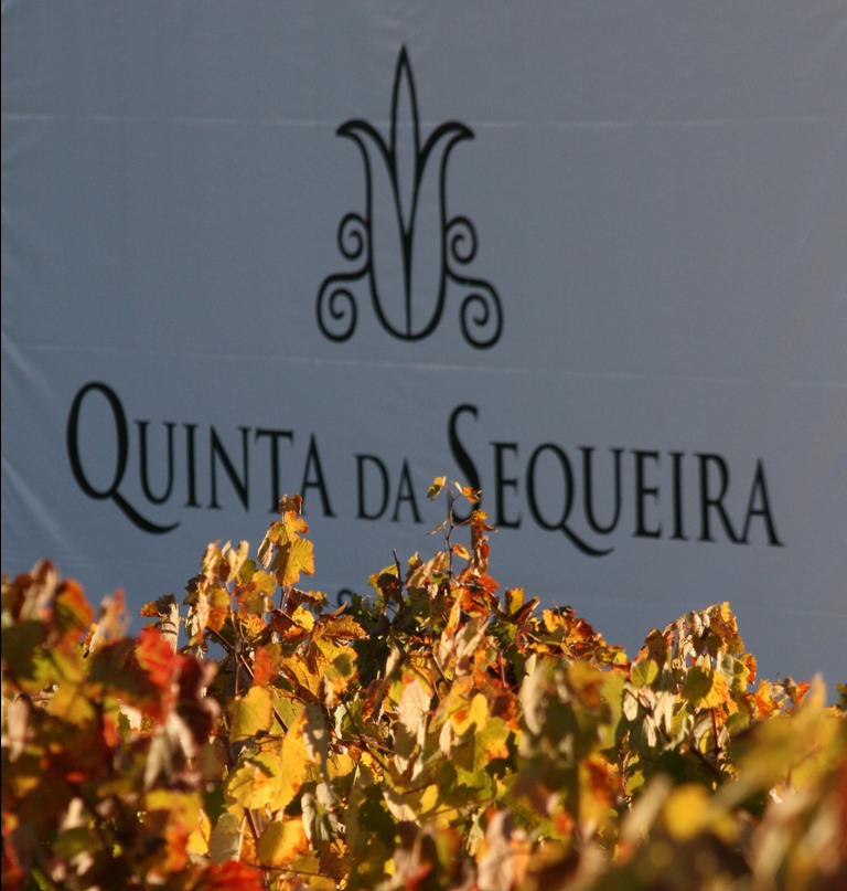 Screenshot 2025-11-13 at 18-01-16 Facebook